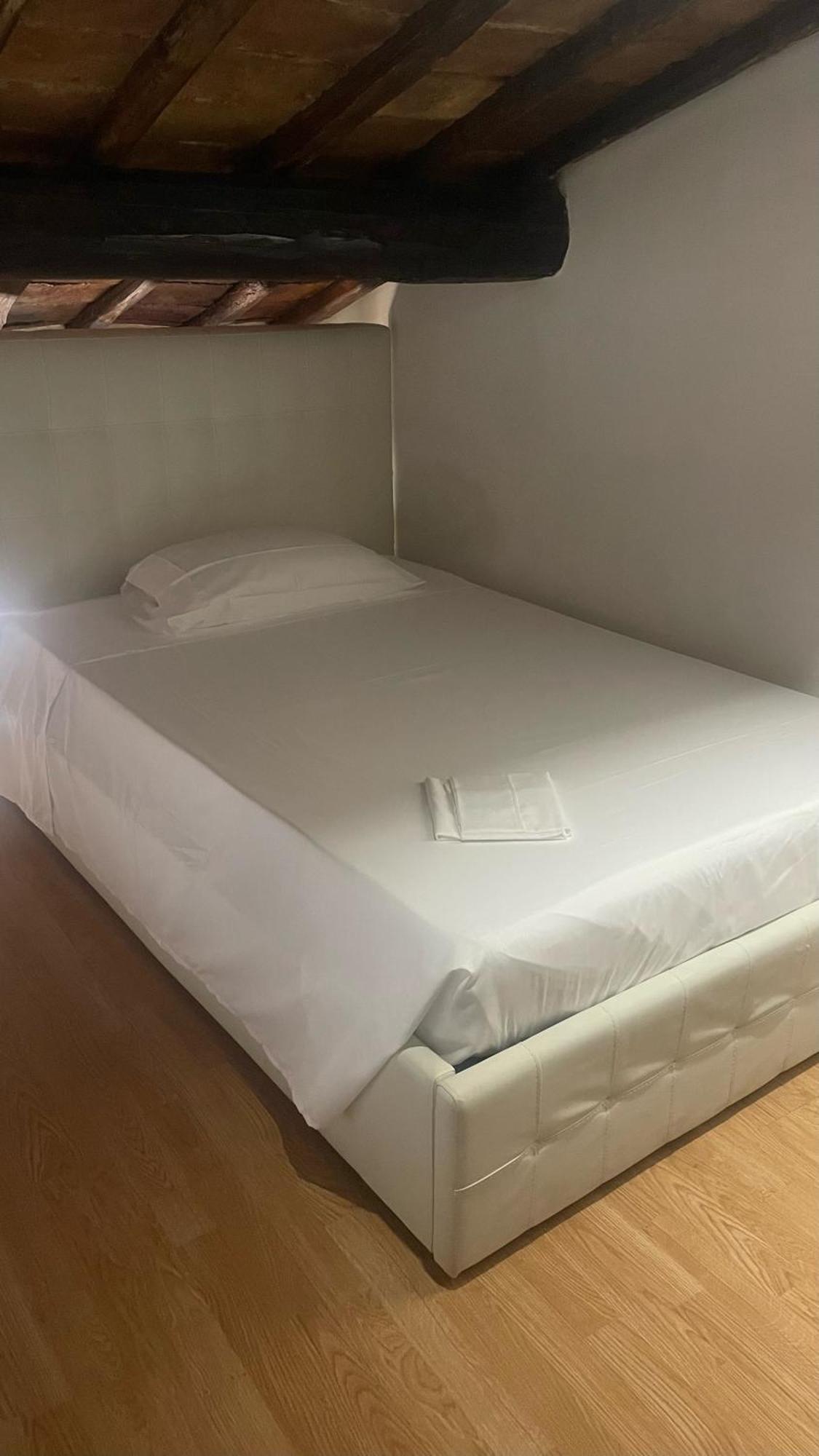 Aura 24 Frascati